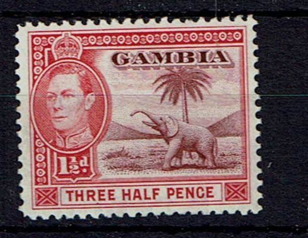 Image of Gambia SG 152 LMM British Commonwealth Stamp